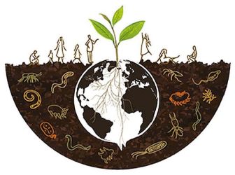 5.december - Svetový deň pôdy