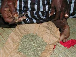 Mrzačenie pohlavných orgánov žien sa pokladá za porušenie práv žien