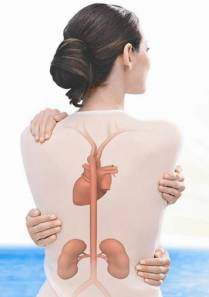 Zlyhávanie obličiek spôsobuje aj nebezpečné kostné ochorenie