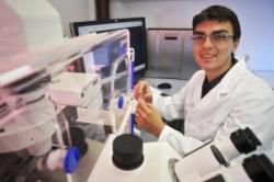 Mužov chráni proti zápalom testosterón