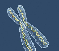 Génové technológie