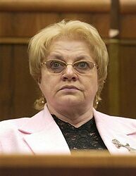 V materiáloch MZ je podľa Tomanovej veľa otázok, ktoré treba vydiskutovať