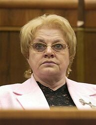 V materiáloch MZ je podľa Tomanovej veľa otázok, ktoré treba vydiskutovať