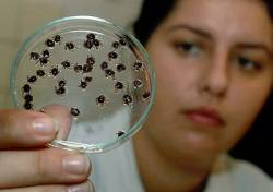 Pri vychádzkach do prírody netreba zabúdať na ochranu pred kliešťami