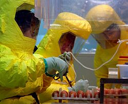 V Česku otvoria nové laboratóriá na testovanie vtáčej chrípky
