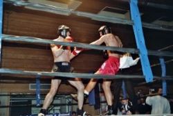 Príťažlivosť agresivity