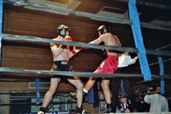 Príťažlivosť agresivity