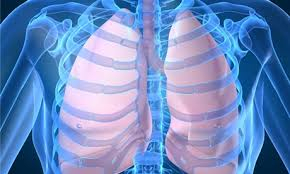 Svetový deň chronickej obštrukčnej choroby pľúc - 18. november