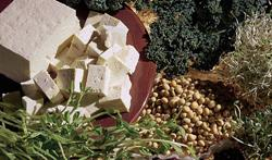 Sója – kráľovná rastlinnej ríše