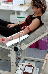 Darcov krvi býva v lete najmenej, ale úrazov v Tatrách i na cestách najviac