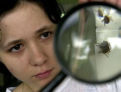 Na klieštovú encefalitídu ochoreli v okrese Prievidza štyri osoby