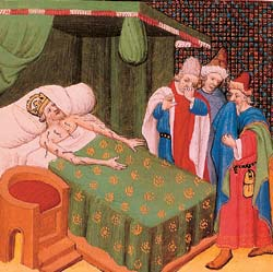 Liečba pijavicami - história a anatómia