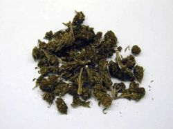 Marihuana poškodzuje intelektuálne schopnosti chorých