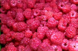 Maliny sú zdravšie než brokolica či paradajky