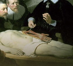 Prvé pitvy ľudského tela