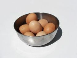Špeciálne chladenie lepšie chráni vajcia proti salmonele