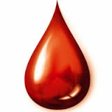 14. júna je Svetový deň darcov krvi