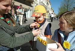 Počas jedenásteho Dňa narcisov sa vyzbieralo v Bratislave päť miliónov korún