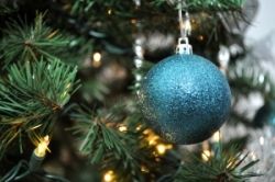 Počas Vianoc dajte pozor na rybacie kostičky, ale aj úrazy v domácnosti, dopravné nehody a zranenia pri športe a hre