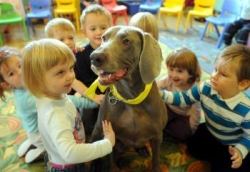 Terapeutický pes predviedol deťom z Ruskova svoje špeciálne schopnosti