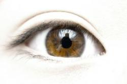 Prvý raz sme naživo uvideli základ nášho videnia