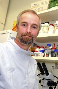 Meďou proti nemocničným infekciám