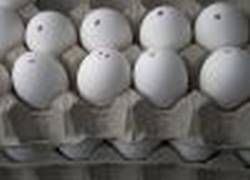 Okrem škodlivého cholesterolu obsahujú vajíčka plnohodnotné bielkoviny