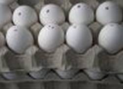 Okrem škodlivého cholesterolu obsahujú vajíčka plnohodnotné bielkoviny