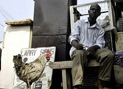 Afrika hlásil prvý prípad vtáčej chrípky, vírus H5N1 zaznamenali v Nigérii